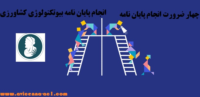 چهار ضرورت انجام پایان نامه - انجام پایان نامه بیوتکنولوژی کشاورزی