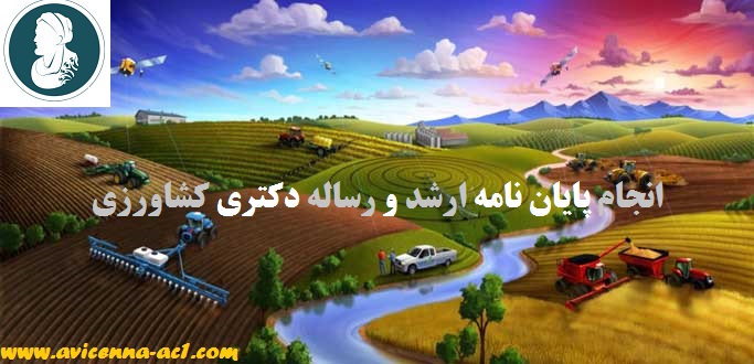 آموزش انجام پایان نامه ارشد و رساله دکتری کشاورزی | نمونه نتیجه گیری