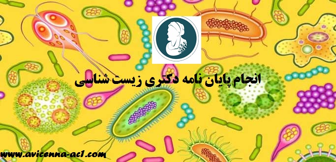 انجام پایان نامه دکتری زیست شناسی | دانلود رایگان نمونه رساله