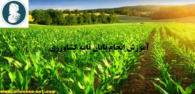 انجام پایان نامه کشاورزی | نمونه نتیجه گیری
